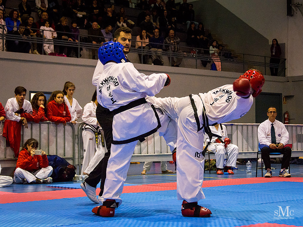 COPA SEUL, 2017  (179).JPG